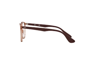 Side view Ray-Ban ERIKA (RX7046 - 5940)