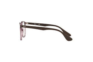 Side view Ray-Ban ERIKA (RX7046 - 8139)