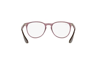 Rear view Ray-Ban ERIKA (RX7046 - 8139)