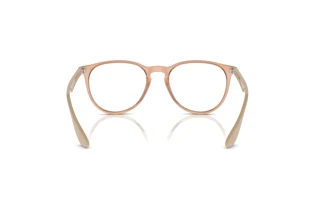 Rear view Ray-Ban ERIKA (RX7046 - 8339)