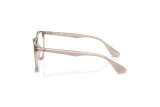 Side view Ray-Ban ERIKA (RX7046 - 8507)