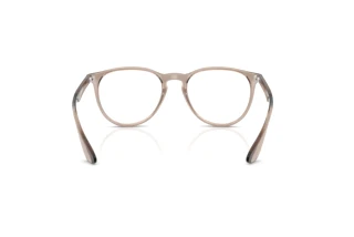 Rear view Ray-Ban ERIKA (RX7046 - 8507)