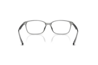 Rear view Ray-Ban RX7094D (8012)