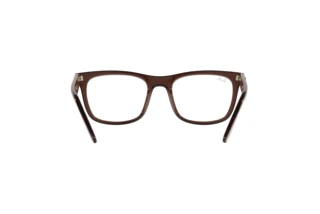 Rear view Ray-Ban RX7209 (8211)