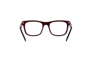 Rear view Ray-Ban RX7209 (8213)