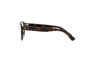 Side view Ray-Ban ERIK (RX7215 - 2012)