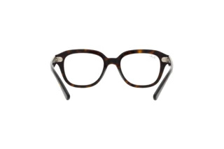 Rear view Ray-Ban ERIK (RX7215 - 2012)