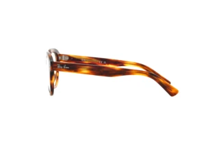 Side view Ray-Ban ERIK (RX7215 - 2144)