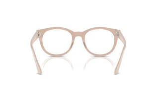 Rear view Ray-Ban RX7227 (8203)