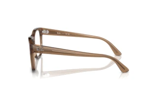 Side view Ray-Ban RX7228 (8198)