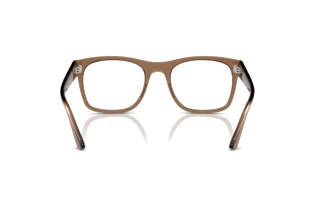 Rear view Ray-Ban RX7228 (8198)