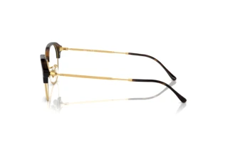 Side view Ray-Ban RX7229 (2012)
