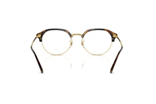 Rear view Ray-Ban RX7229 (2012)