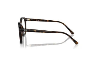 Side view Ray-Ban ALICE (RX7238 - 2012)
