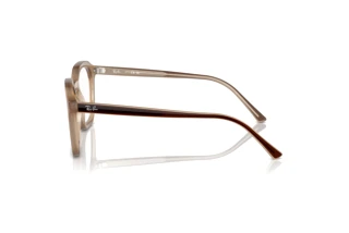 Side view Ray-Ban ALICE (RX7238 - 8355)