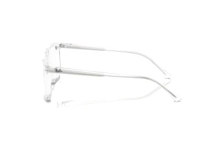 Side view Ray-Ban ALAIN (RX7239 - 2001)