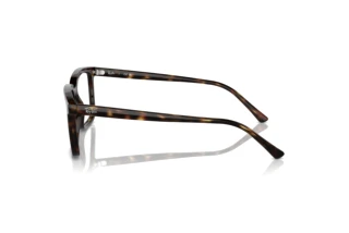 Side view Ray-Ban ALAIN (RX7239 - 2012)