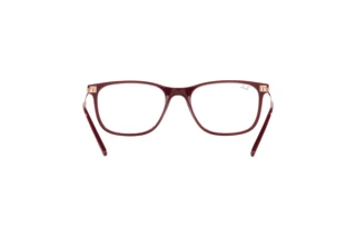 Rear view Ray-Ban RX7244 (8099)