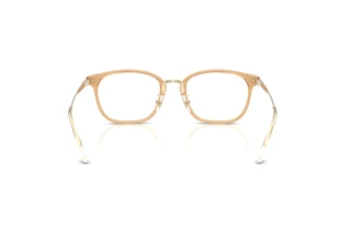 Rear view Ray-Ban RX7247D (8473)