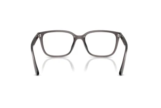 Rear view Ray-Ban RX7248D (8257)