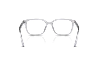 Rear view Ray-Ban RX7248D (8411)