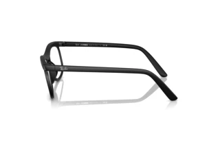 Side view Ray-Ban RX7254 (5204)