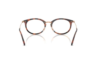 Rear view Ray-Ban RX7255 (5687)