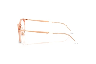Side view Ray-Ban RX7255 (8124)