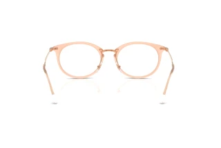 Rear view Ray-Ban RX7255 (8124)