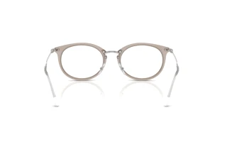 Rear view Ray-Ban RX7255 (8125)