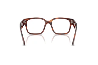 Rear view Ray-Ban LAURENE (RX7256 - 8315)