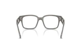 Rear view Ray-Ban LAURENE (RX7256 - 8431)