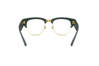 Rear view Ray-Ban RX7316V (8062)