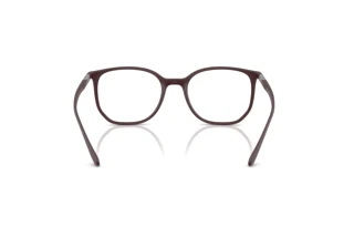 Rear view Ray-Ban RX7397 (8088)