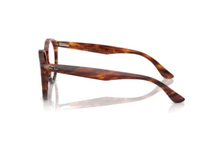 Side view Ray-Ban LARRY (RX7680V - 2144)