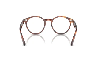Rear view Ray-Ban LARRY (RX7680V - 2144)