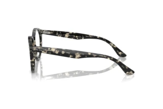 Side view Ray-Ban LARRY (RX7680V - 8117)