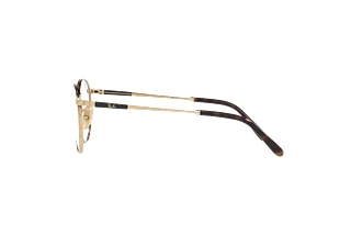 Side view Ray-Ban ROUND TITANIUM (RX8237V - 1220)