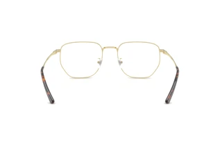 Rear view Ray-Ban RX8776D (1251)