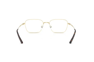 Rear view Ray-Ban RX8784D (1251)