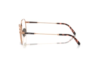 Side view Ray-Ban JIM TITANIUM (RX8794 - 1245)