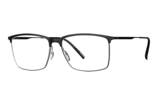 Silhouette 2946 9060