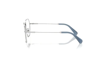 Side view Swarovski SK1011 (4001)