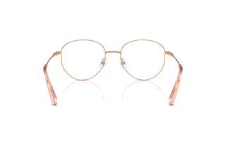 Rear view Swarovski SK1016D (4014)