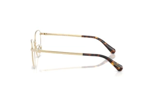 Side view Swarovski SK1029D (4013)