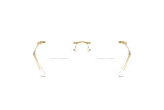 Rear view Swarovski SK1031 (4004)