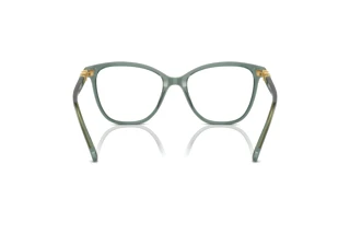 Rear view Swarovski SK2020 (1043)