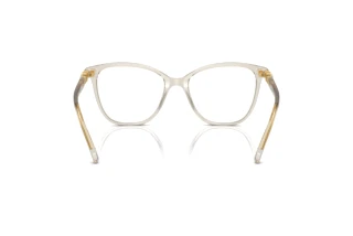 Rear view Swarovski SK2020 (3003)