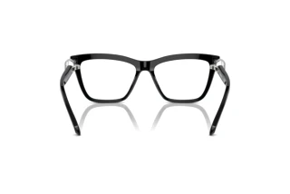 Rear view Swarovski SK2021 (1001)