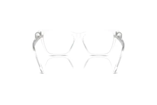 Rear view Swarovski SK2021 (1027)